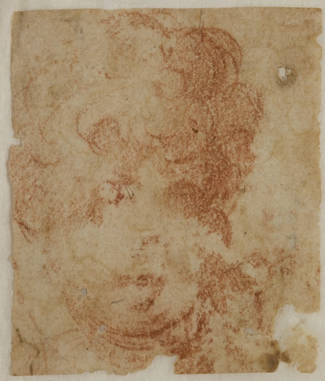 Testa di bambino - Collezione Farnese, Napoli
